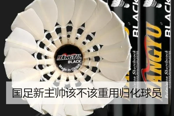 国足新主帅该不该重用归化球员